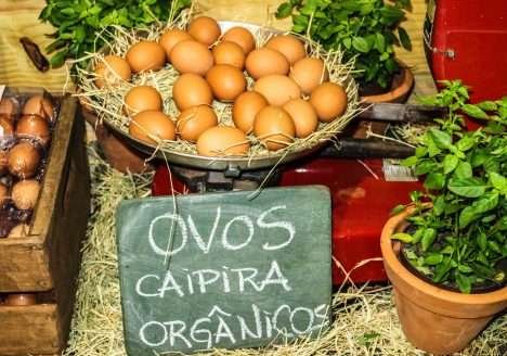 Produção de ovos orgânicos