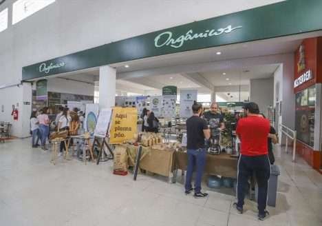 Setor de Orgânicos do Mercado Municipal de Curitiba é referência há 14 anos