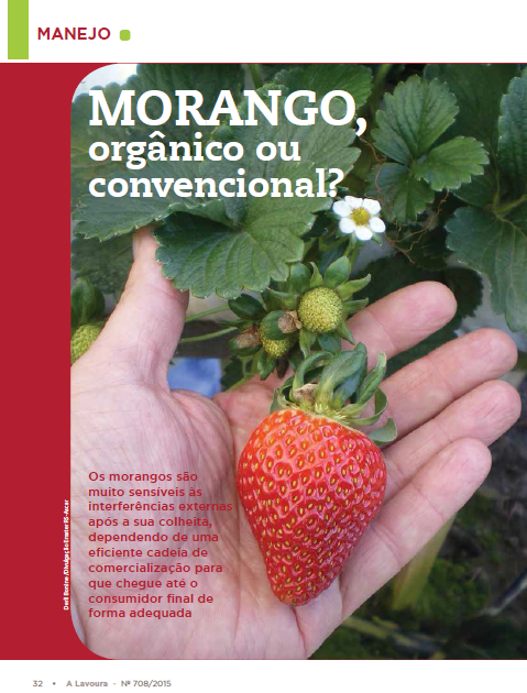 Imagem: Revista A Lavoura