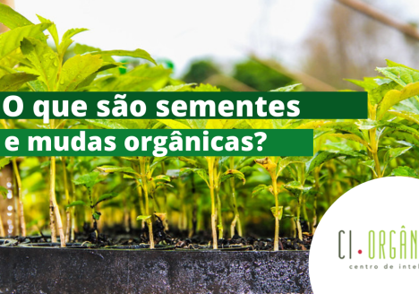 Sementes e mudas, insumos da produção orgânica