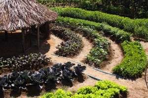 fonte: Funda&ccedil;&atilde;o Banco do Brasil