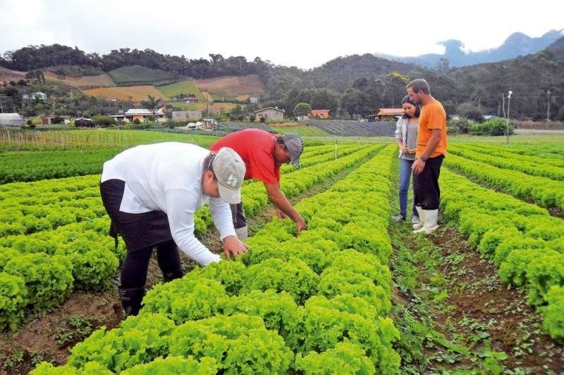 Paulo Filgueiras/ GERJ (Fotos Públicas 27/07/2015)