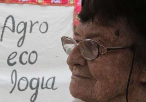 Agroecologia e manejo do solo