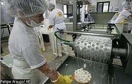 Queijo de búfula orgânico