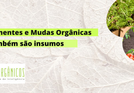 Sementes e mudas também são insumos.