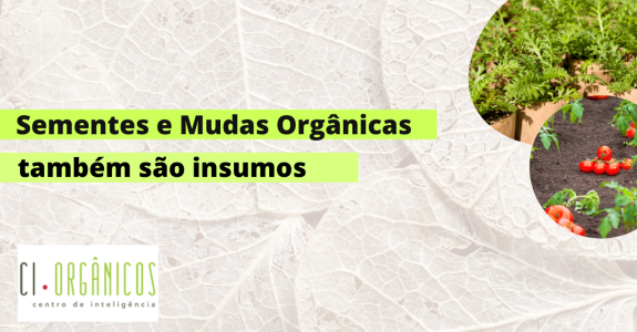 Sementes e mudas também são insumos.