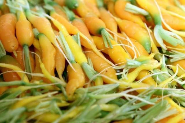 Vegetais orgânicos Foto Felipe Rau AE