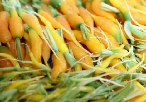 ‘Com orgânico, você pode até economizar’, diz fazendeiro que faz bate-papo em SP nesta quinta