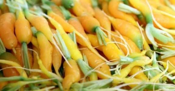 ‘Com orgânico, você pode até economizar’, diz fazendeiro que faz bate-papo em SP nesta quinta