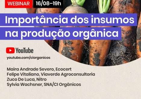 Manejo biológico por agricultores convencionais continua a crescer