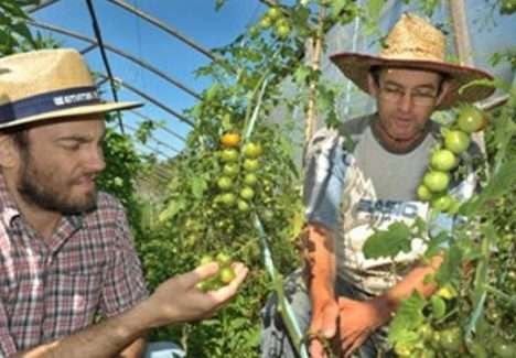 Emater/RS apoia crescimento da produção orgânica