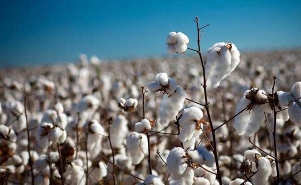 foto: Raz&atilde;o Social