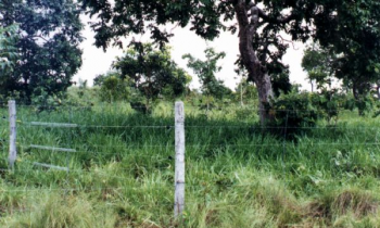 foto: site Fazenda Ecol&oacute;gica