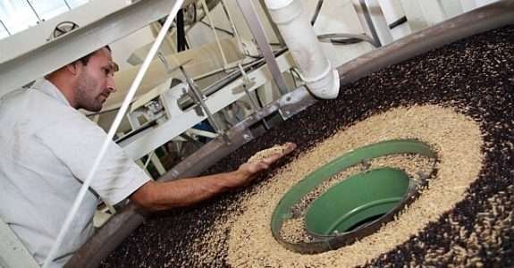 Avançam as etapas da chamada para Núcleos de Estudo em Agroecologia