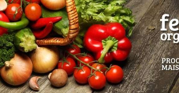 Idec registra mais de 290 feiras orgânicas em todo Brasil