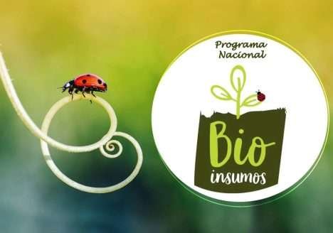 Kimberlit inaugura fábrica de defensivos biológicos