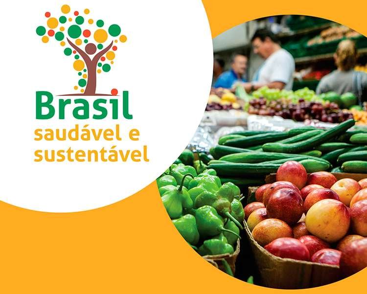 brasil saudavel e sustentavel grande