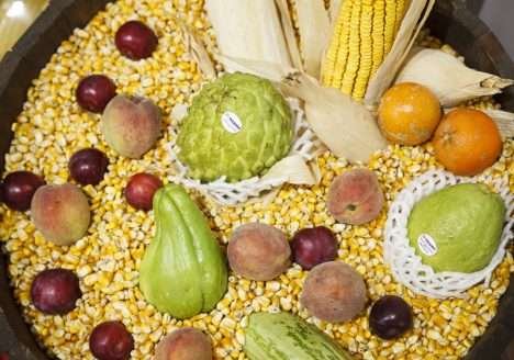 Brasil e UE discutem acordo para comercialização de produtos orgânicos