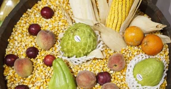 Brasil e UE discutem acordo para comercialização de produtos orgânicos