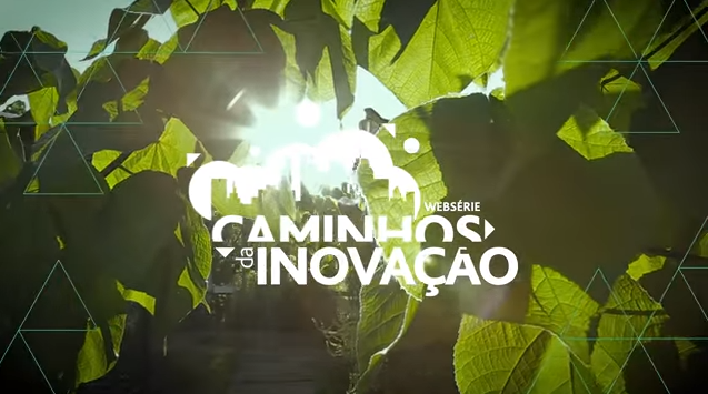 caminhos da inova&ccedil;&atilde;o