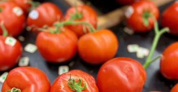 CI Orgânicos participa de Congresso Latino-americano de Segurança de Alimentos