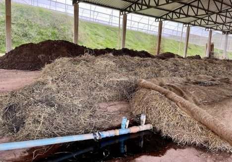 Publicações da Embrapa recomendam insumos e práticas de manejo em agroecologia