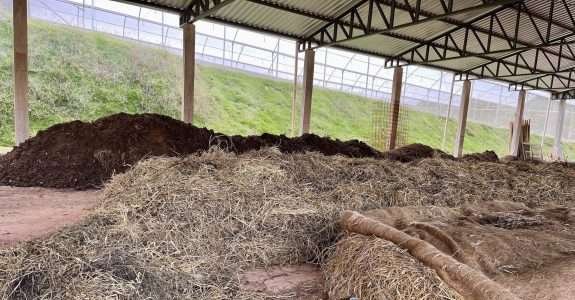 Publicações da Embrapa recomendam insumos e práticas de manejo em agroecologia