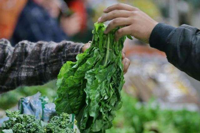 Foto: Lauro Alves / Agencia RBS