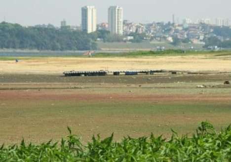 Produtores de orgânicos projetam crescimento no RS diante da crise