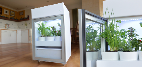 Brasileiros criam eletrodoméstico que mantém hortas orgânicas em locais fechados