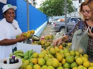 feira maceio