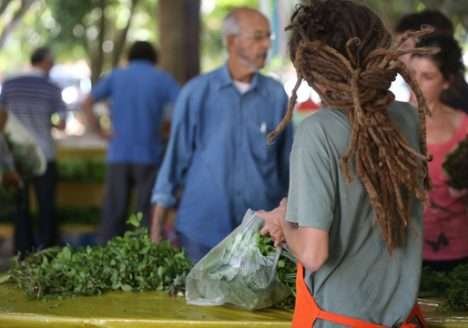 Monitoramento aponta que 95% dos produtos orgânicos são seguros em SC