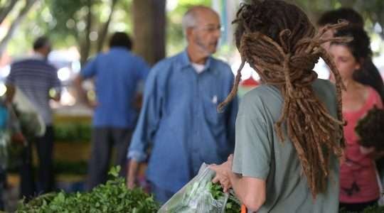 Monitoramento aponta que 95% dos produtos orgânicos são seguros em SC