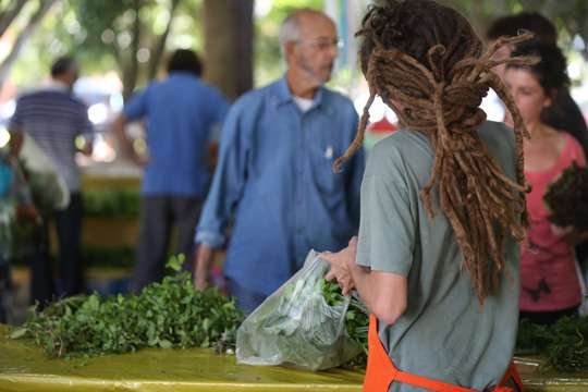 Feira org&acirc;nica de Menino Deus, em Porto Alegre
