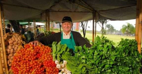 Livro reúne casos de sucesso de produtores orgânicos