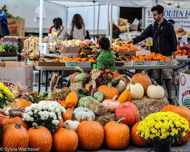 Feira org&acirc;nica em Nova York/ Foto: Sylvia Wachsner