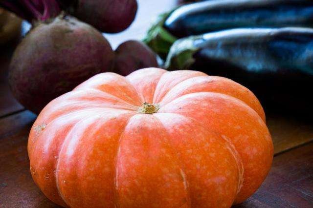 Iniciativa atende a reivindicação antiga dos produtores por espaço exclusivo destinado a esses produto dentro da central Foto: Felipe Carneiro / Agencia RBS