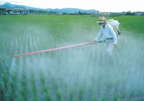 Brasil é principal contribuinte no aumento de vendas de fertilizantes