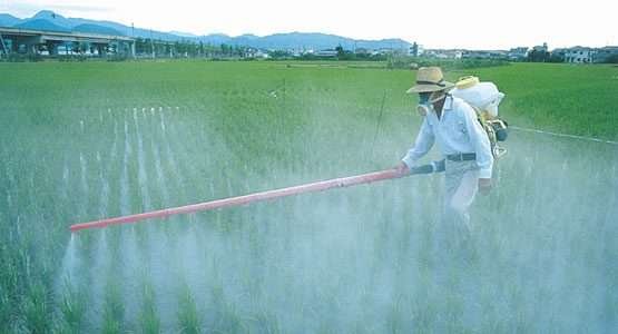 Brasil é principal contribuinte no aumento de vendas de fertilizantes