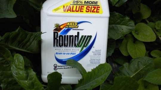 foto-Sustainable Pulse