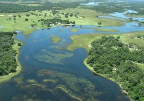 Software mede nível de sustentabilidade de fazendas no Pantanal