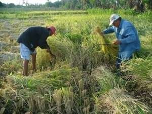 Foto: Ag&ecirc;ncia Sebrae