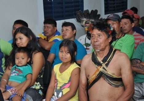 Castanha extraída pelos indígenas de MT recebe certificação internacional