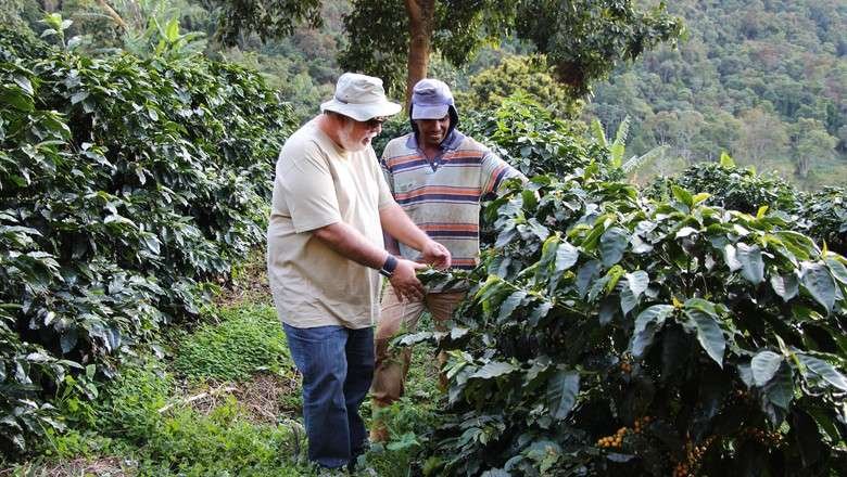 O pesquisador Paulo Lima e Jonas Lopes: projeto recupera &aacute;reas degradadas com caf&eacute;s especiais e gera gr&atilde;os de valor agregado (Foto: Erasmo Reis / Epamig)