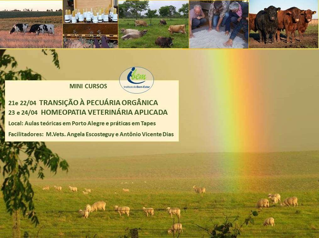 mini cursos cporg rj