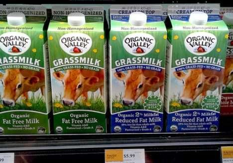 Conheça a Organic Valley, cooperativa criada por produtores orgânicos