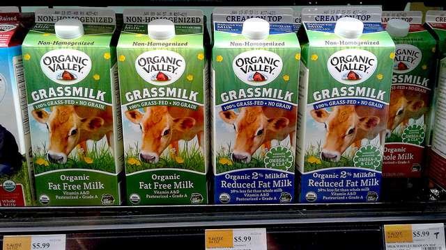 Foto: CI Org&acirc;nicos/OrganicsNet