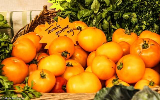 Foto: Sylvia Wachsner (CI Org&acirc;nicos/OrganicsNet)