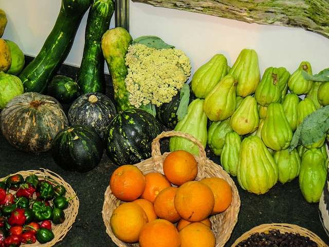 Foto: Sylvia Wachsner. CI Org&acirc;nicos/OrganicsNet