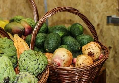 Paraná valoriza a agricultura familiar para garantir merenda saudável e movimentar economia local